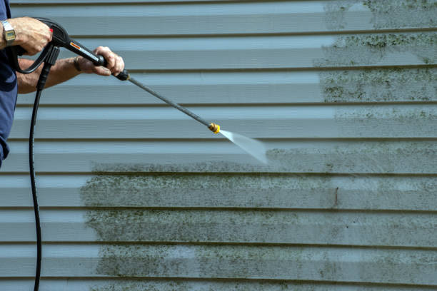 Best Roof Pressure Washing  in Pullman, WA